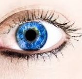 Vision Diagnostics