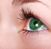 Cataract & Lens
