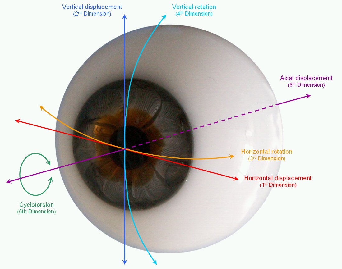 6D Eyetracking